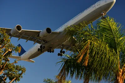 DSC_5752 (Large).JPG